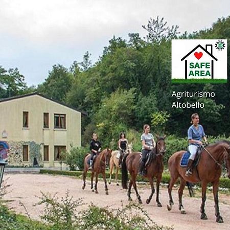 Agriturismo Altobello Верона Екстер'єр фото