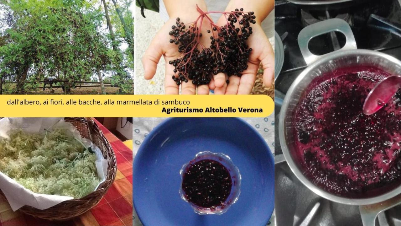 Agriturismo Altobello Верона Екстер'єр фото