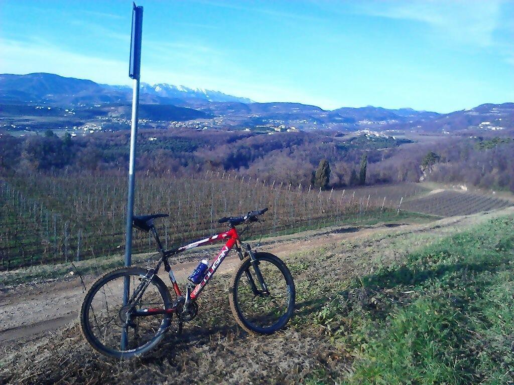 Agriturismo Altobello Верона Екстер'єр фото