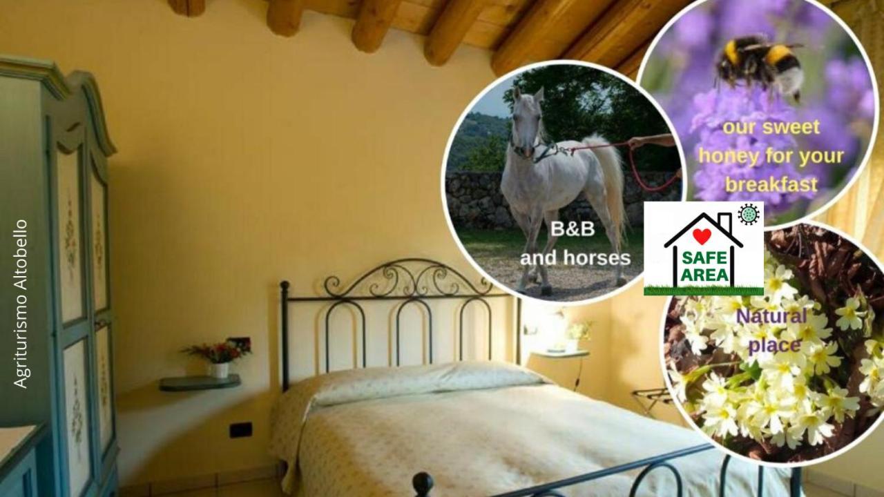 Agriturismo Altobello Верона Екстер'єр фото